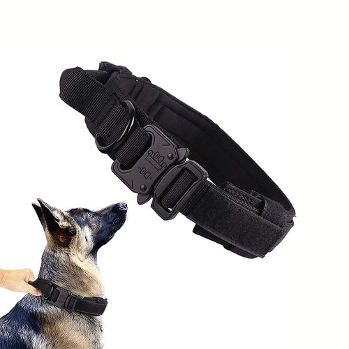 Adjustable Nylon Dog Collar ? Durable Outdoor Hiking Dog Collar for Medium Large Dogs